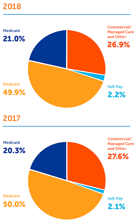 SummaCare Payor Mix Chart