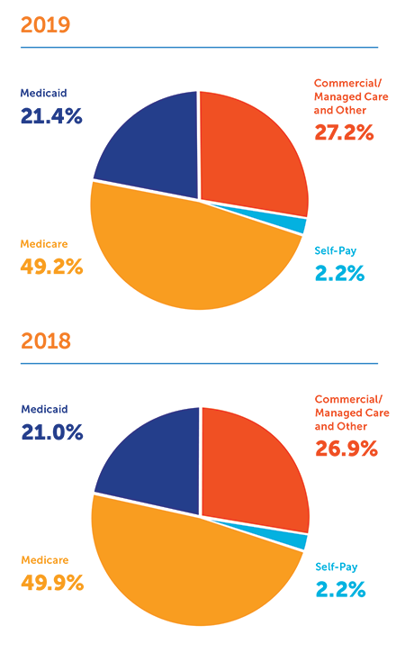 SummaCare Payor Mix Chart