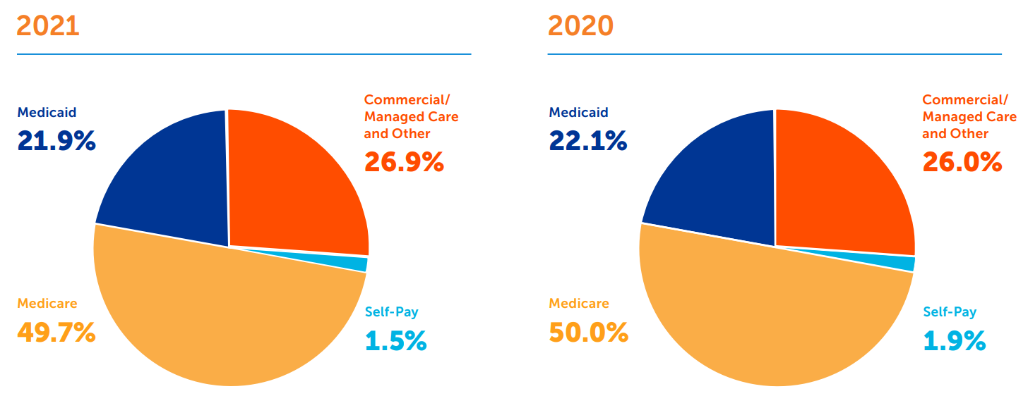 Payor Mix Chart 2021